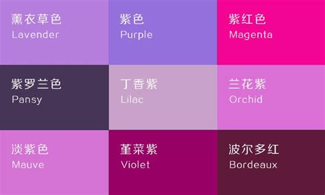 紫色要配什麼顏色 電腦桌面圖